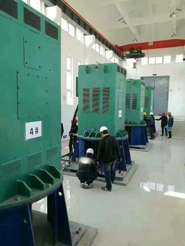 赤峰某污水处理厂使用我厂的立式高压电机安装现场